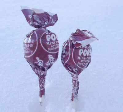 Seasonal Minnesota hazard-The Tootsie Pop Lollipop